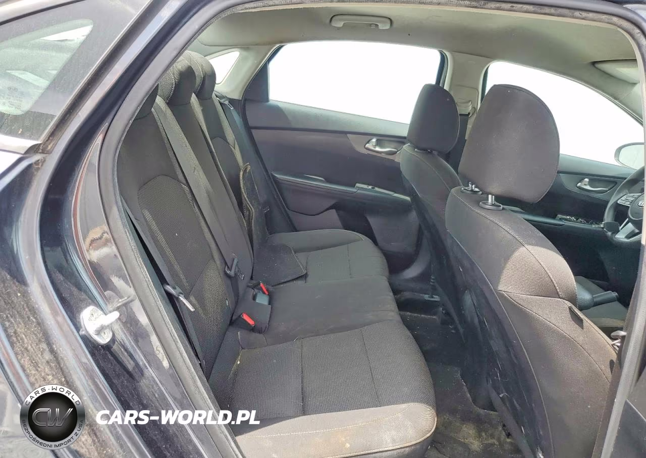 2019 Kia Forte Lxs VIN:3KPF24AD7KE091758 - 10
