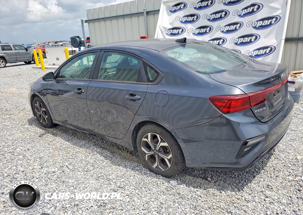 2019 Kia Forte Lxs VIN:3KPF24AD7KE091758 - 2