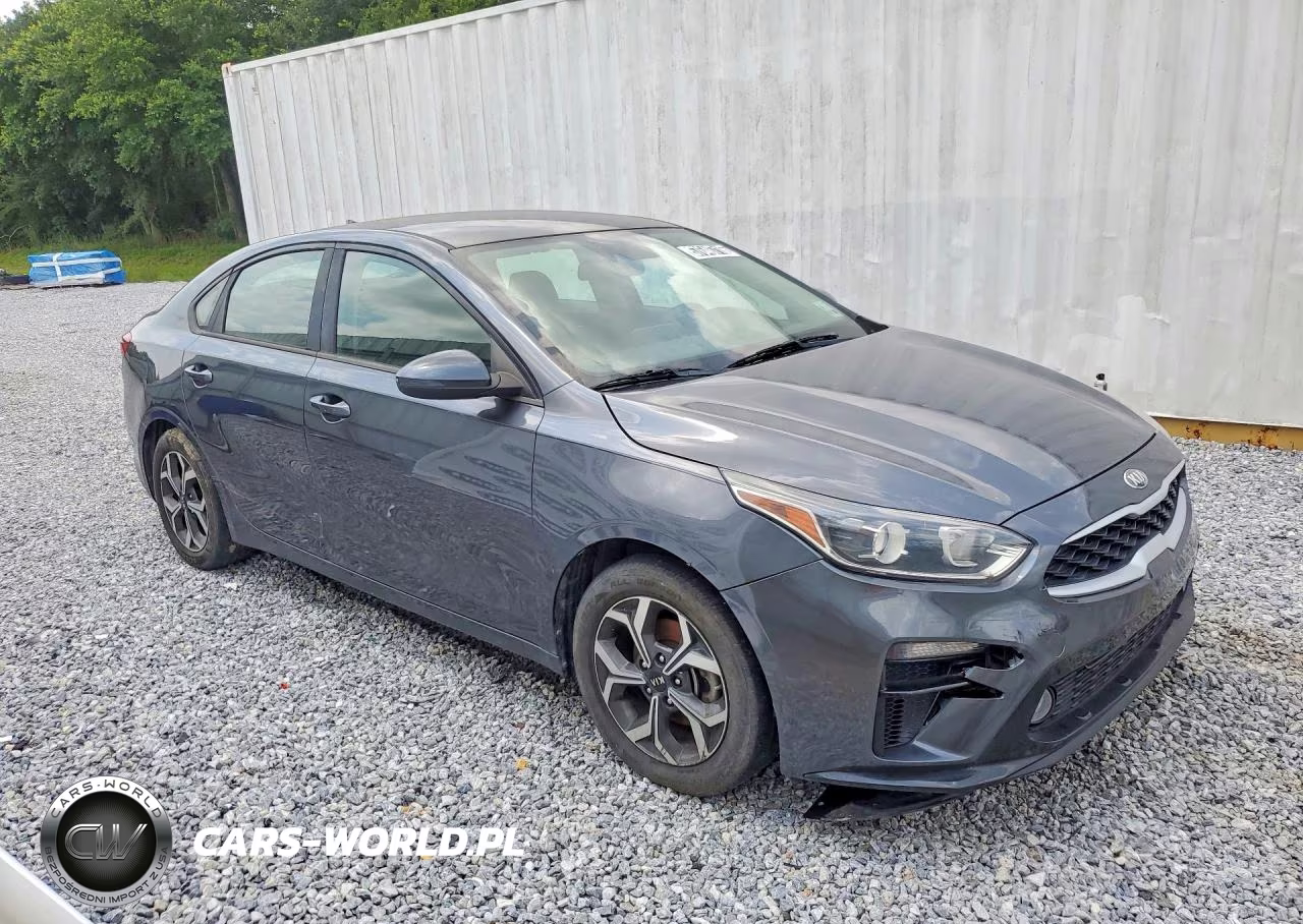 2019 Kia Forte Lxs VIN:3KPF24AD7KE091758 - 4