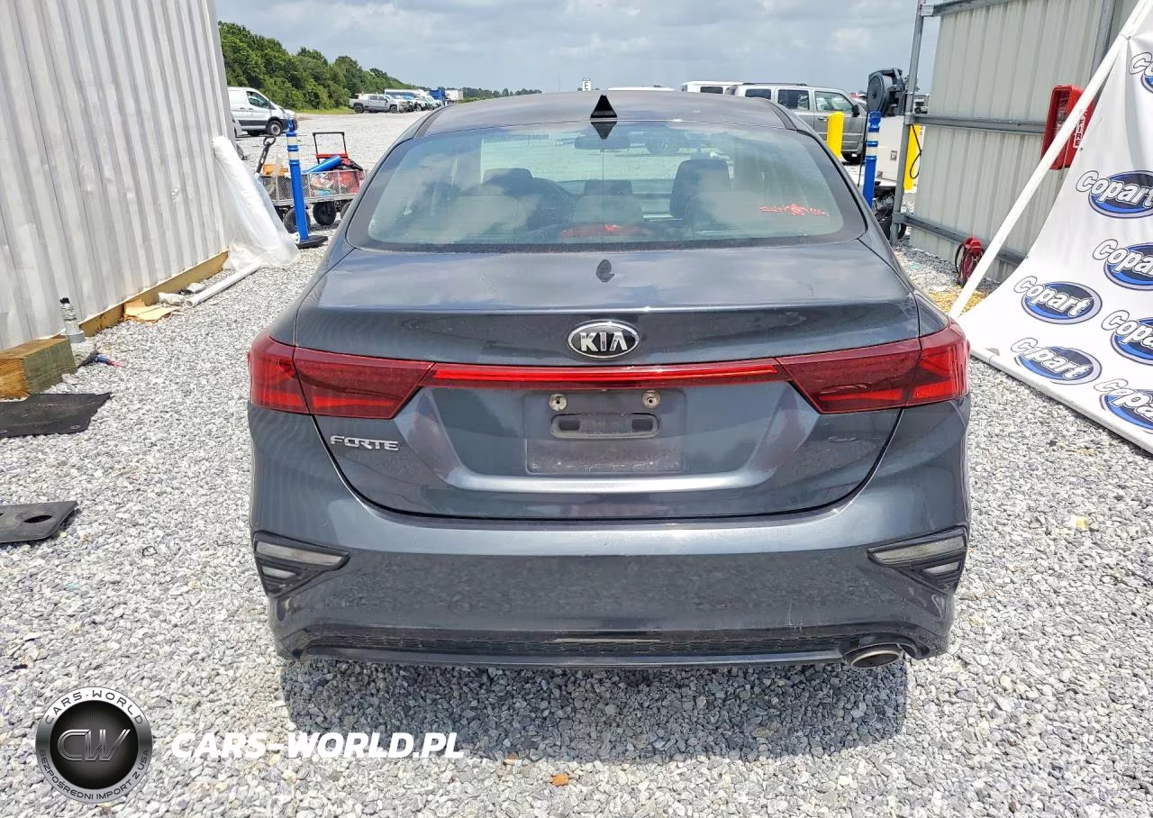 2019 Kia Forte Lxs VIN:3KPF24AD7KE091758 - 6