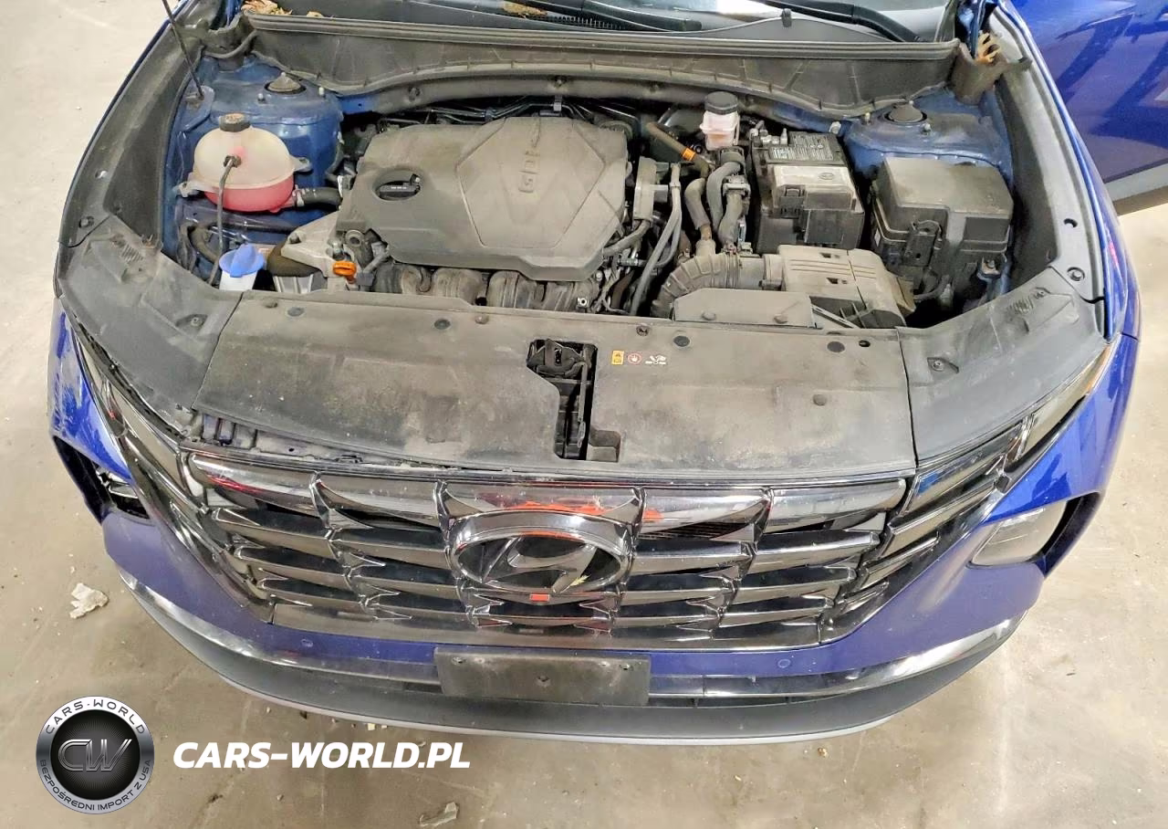 2022 Hyundai Tucson Limited VIN:5NMJECAE4NH023077 - 12