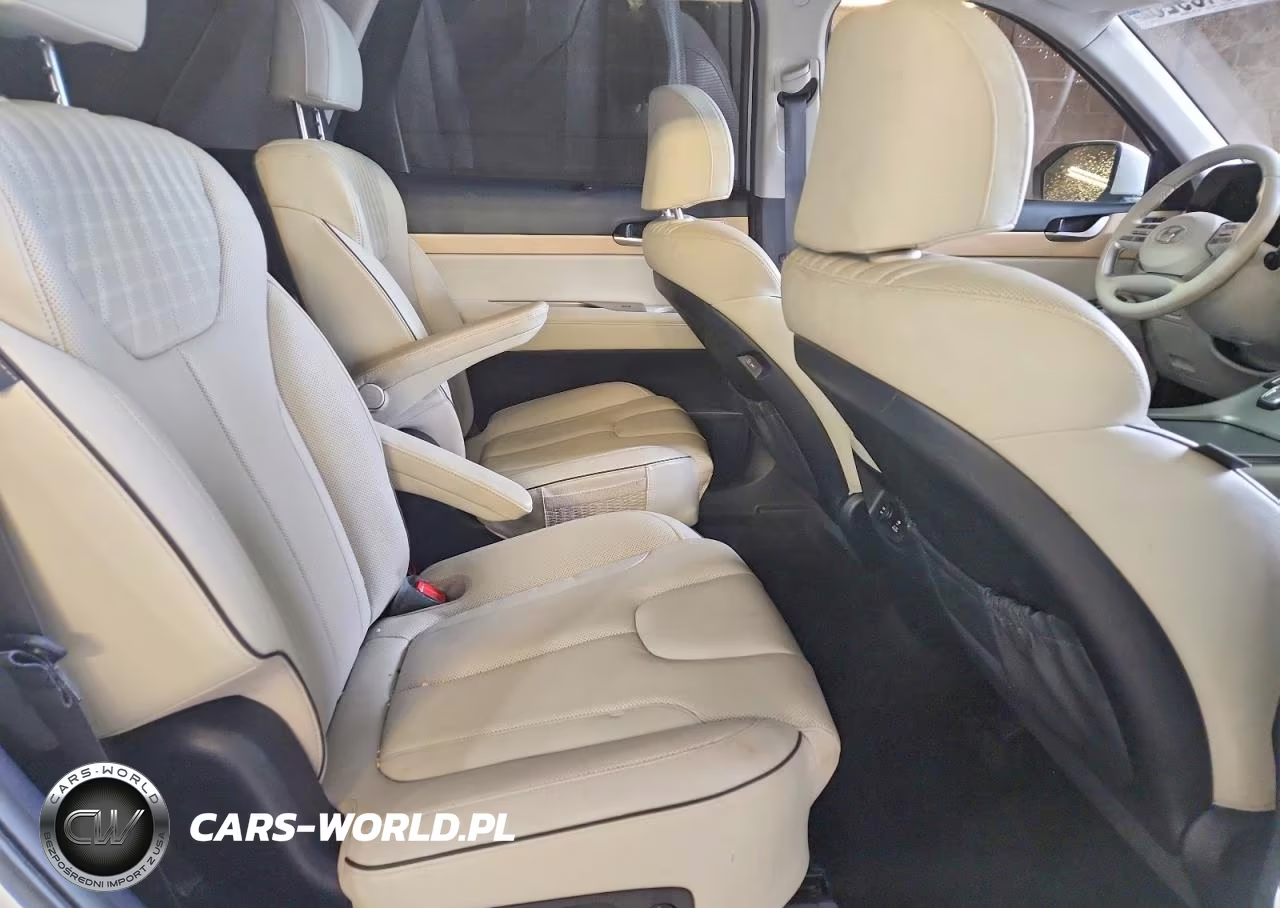 2023 Hyundai Palisade Limited VIN:KM8R5DGEXPU515099 - 11