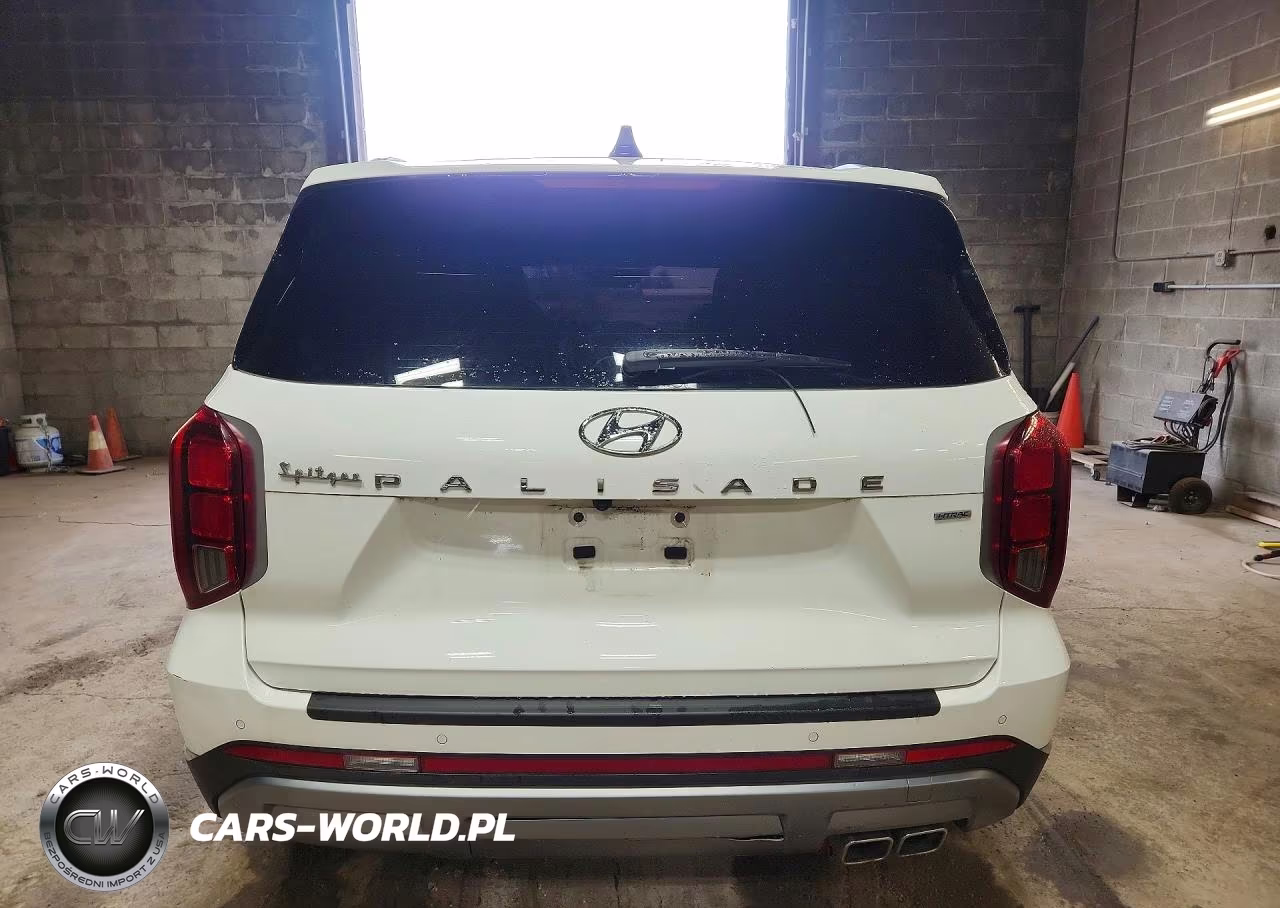 2023 Hyundai Palisade Limited VIN:KM8R5DGEXPU515099 - 6
