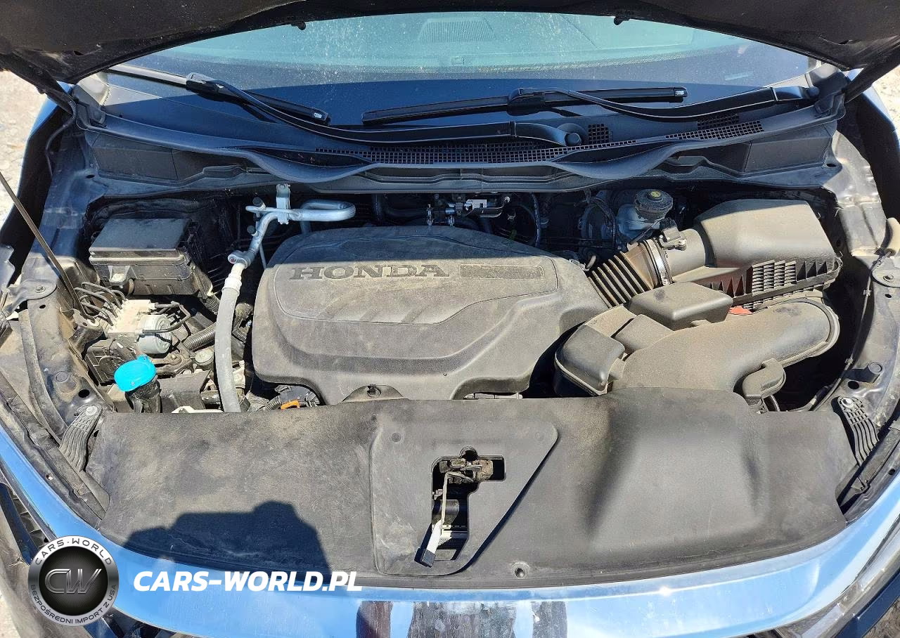 2024 Honda Odyssey Exl VIN:5FNRL6H62RB040993 - 12