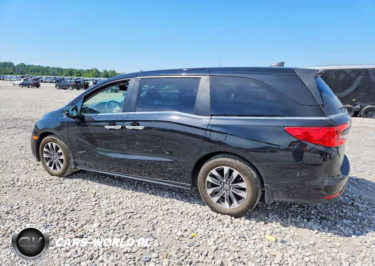 2024 Honda Odyssey Exl VIN:5FNRL6H62RB040993 - 2