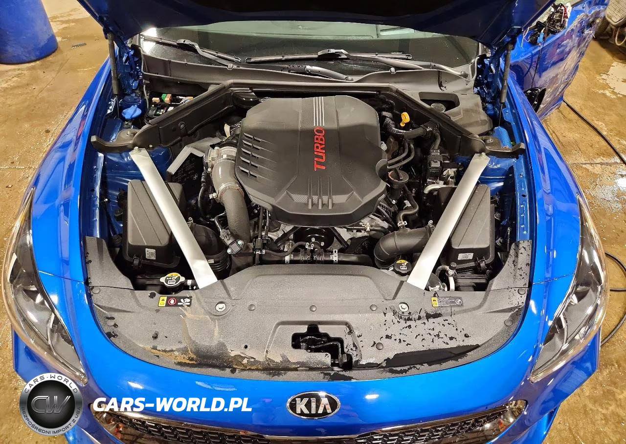 2021 Kia Stinger Gt2 VIN:KNAE55LC8M6094462 - 11