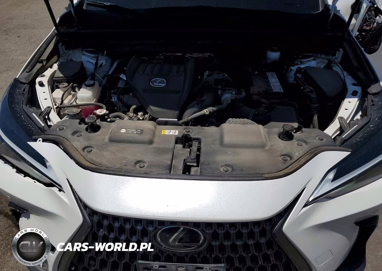 2023 Lexus Nx 350 VIN:JTJGGCEZ3P5005433 - 12