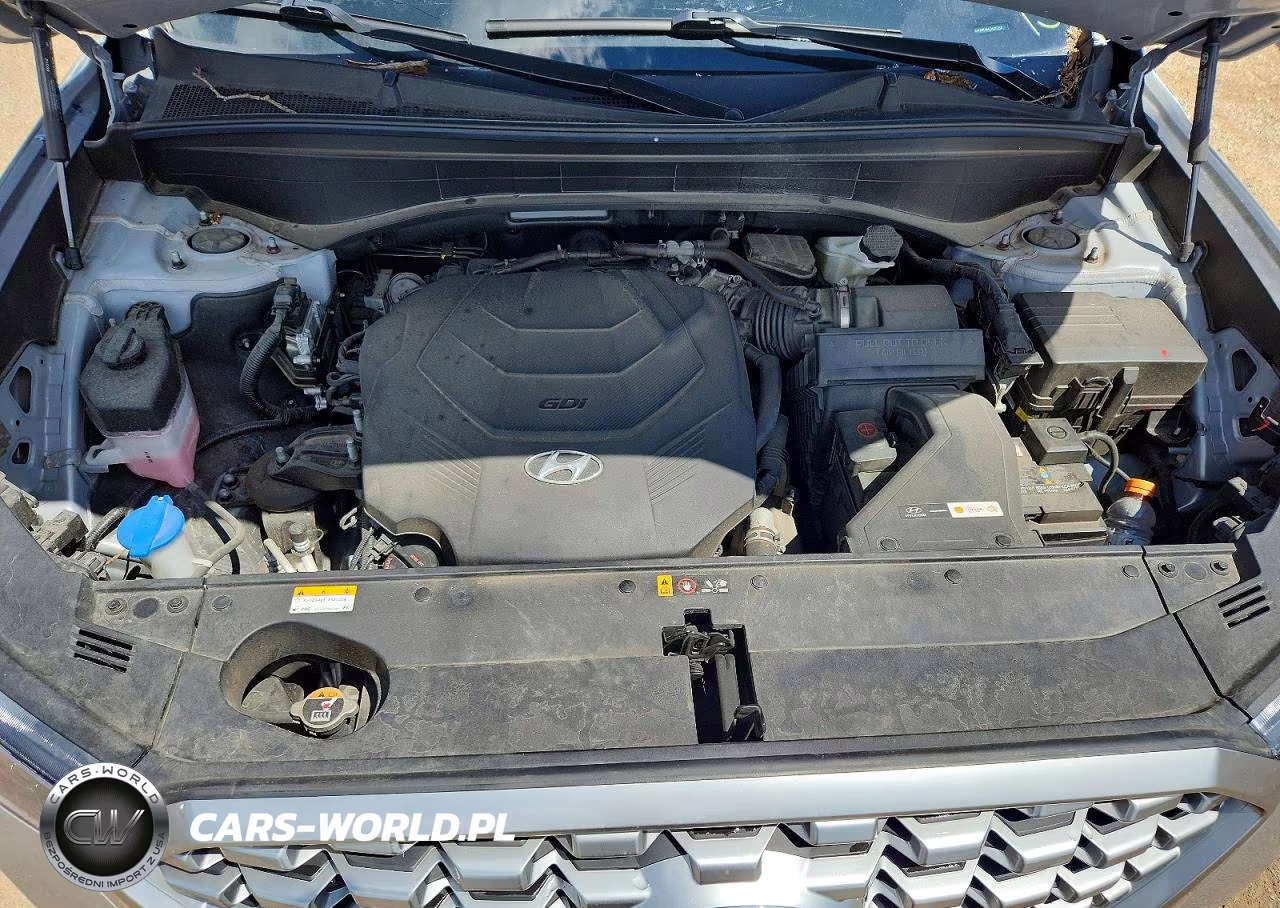 2021 Hyundai Palisade Sel VIN:KM8R3DHE1MU302204 - 12