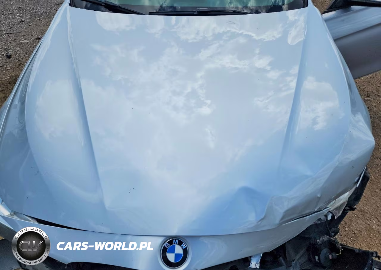 2016 BMW 320 Xi VIN:WBA8E5G50GNU22136 - 11