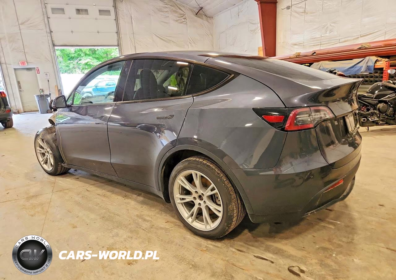 2020 Tesla Model Y VIN:5YJYGDEE7LF031519 - 2
