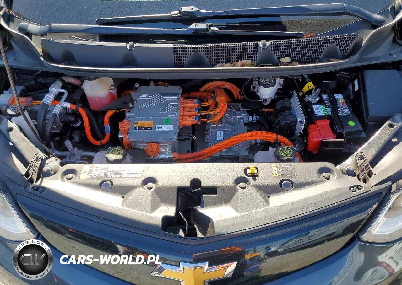 2017 Chevrolet Bolt Ev Lt VIN:1G1FW6S04H4164034 - 12