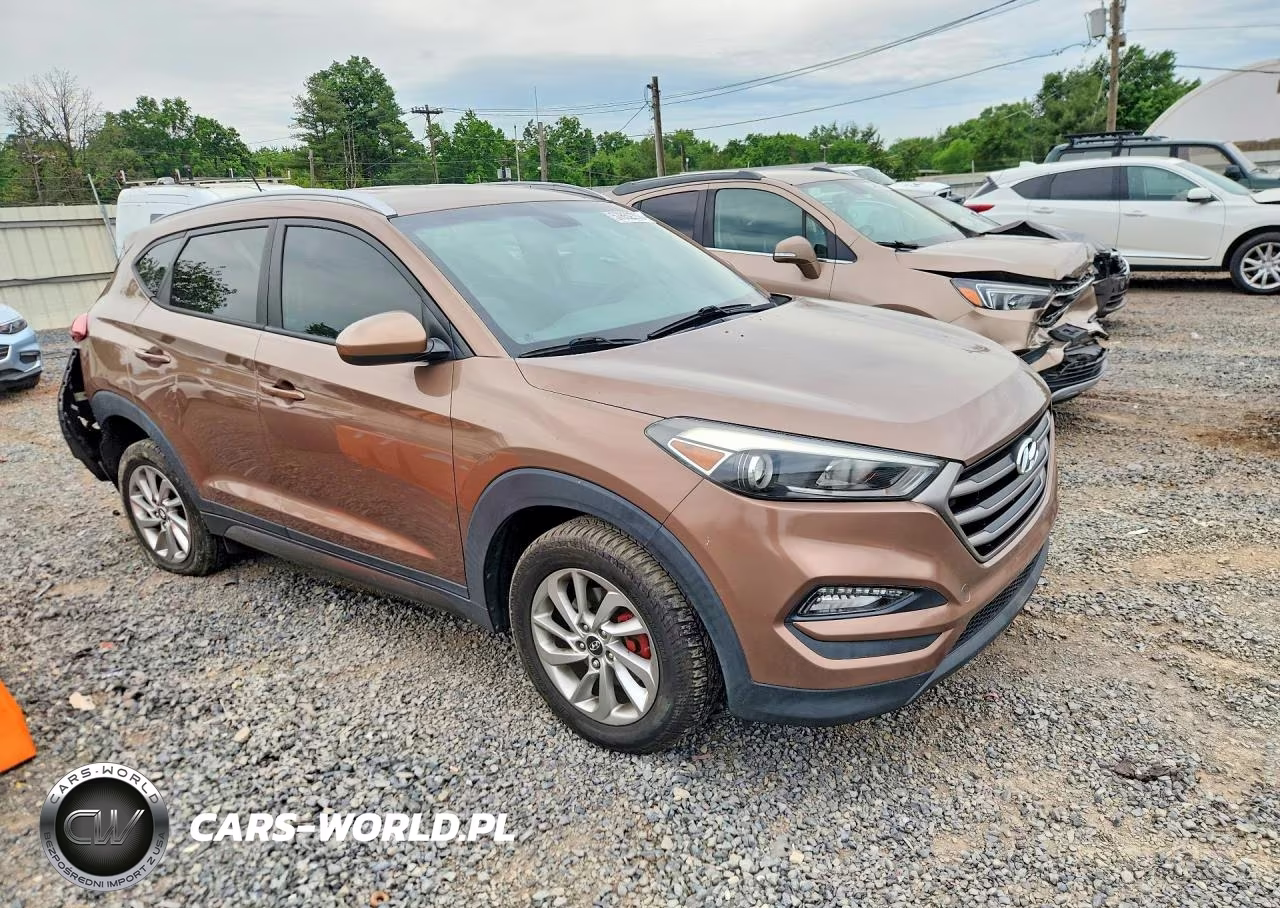 2016 Hyundai Tucson Se VIN:KM8J3CA46GU038510 - 4