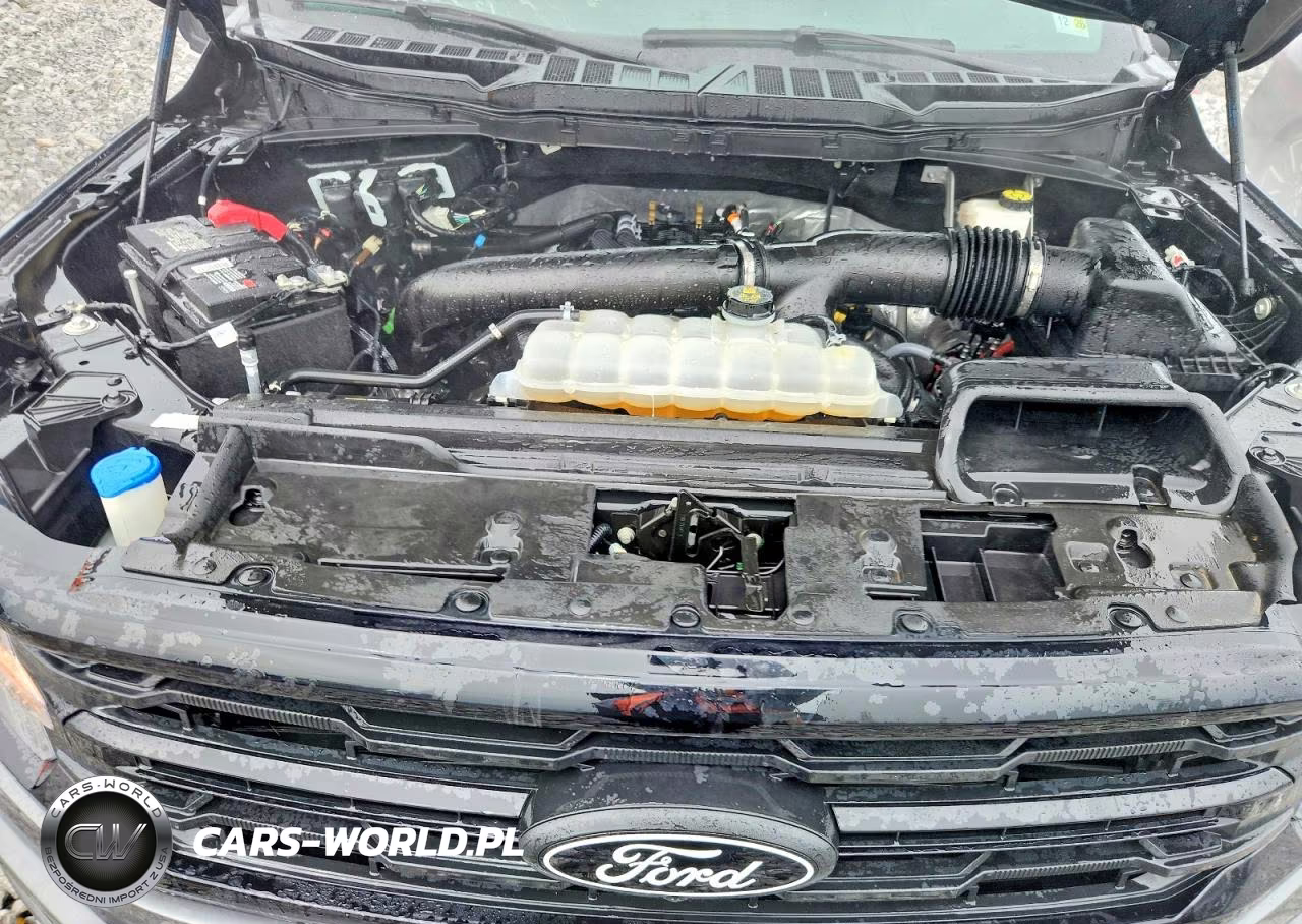 2024 Ford F150 Xlt VIN:1FTFW3L89RKF42436 - 11