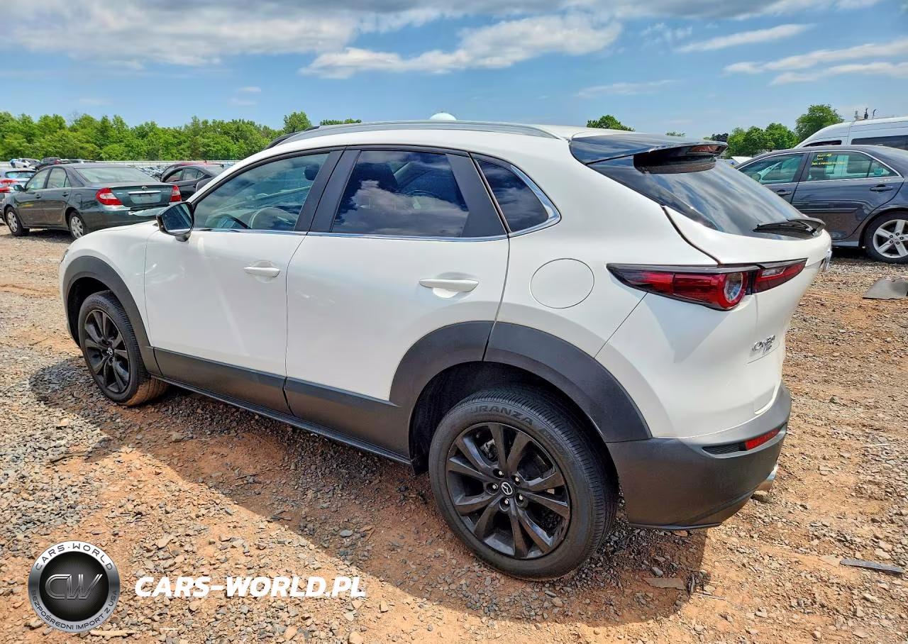 2021 Mazda Cx-30 VIN:3MVDMBAY7MM311092 - 2