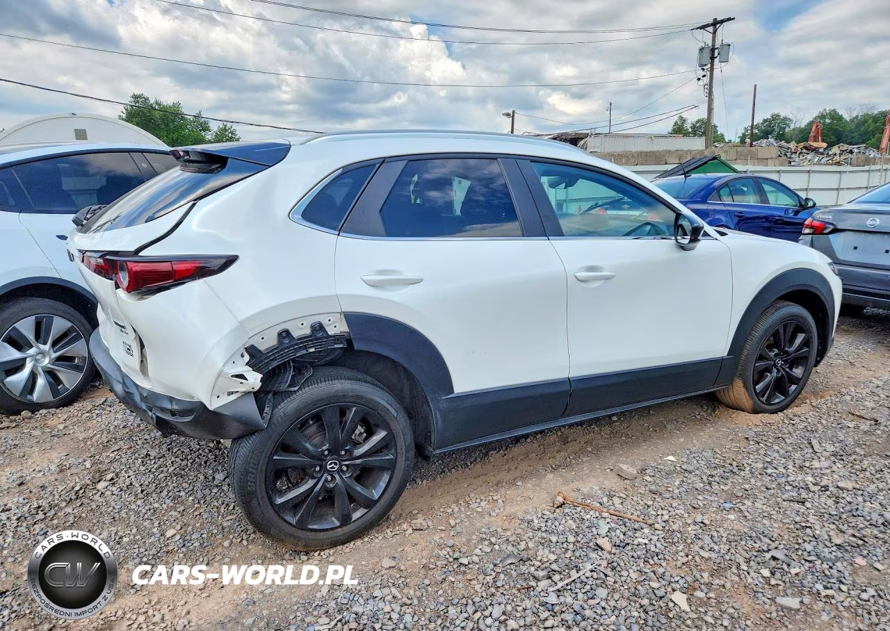 2021 Mazda Cx-30 VIN:3MVDMBAY7MM311092 - 3