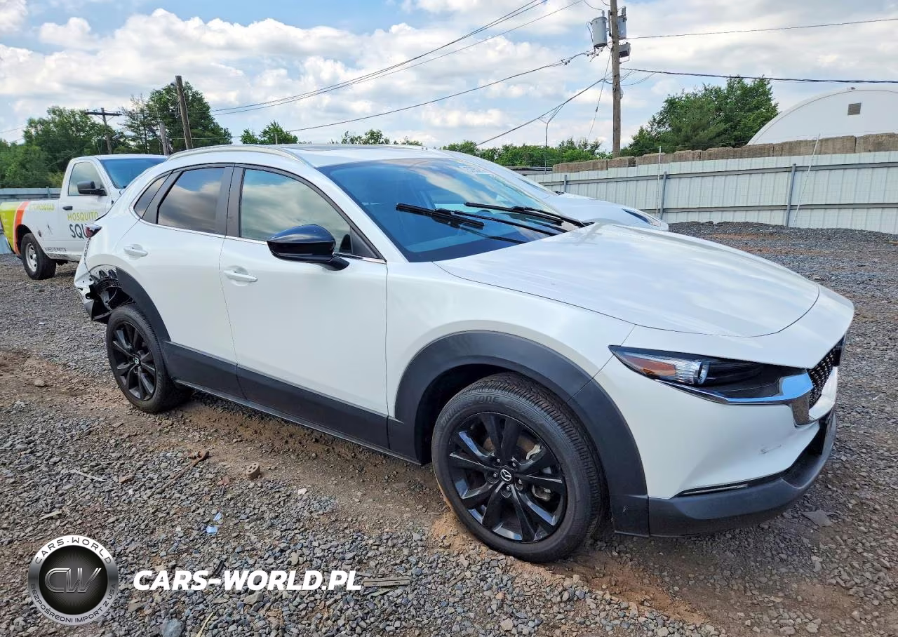 2021 Mazda Cx-30 VIN:3MVDMBAY7MM311092 - 4