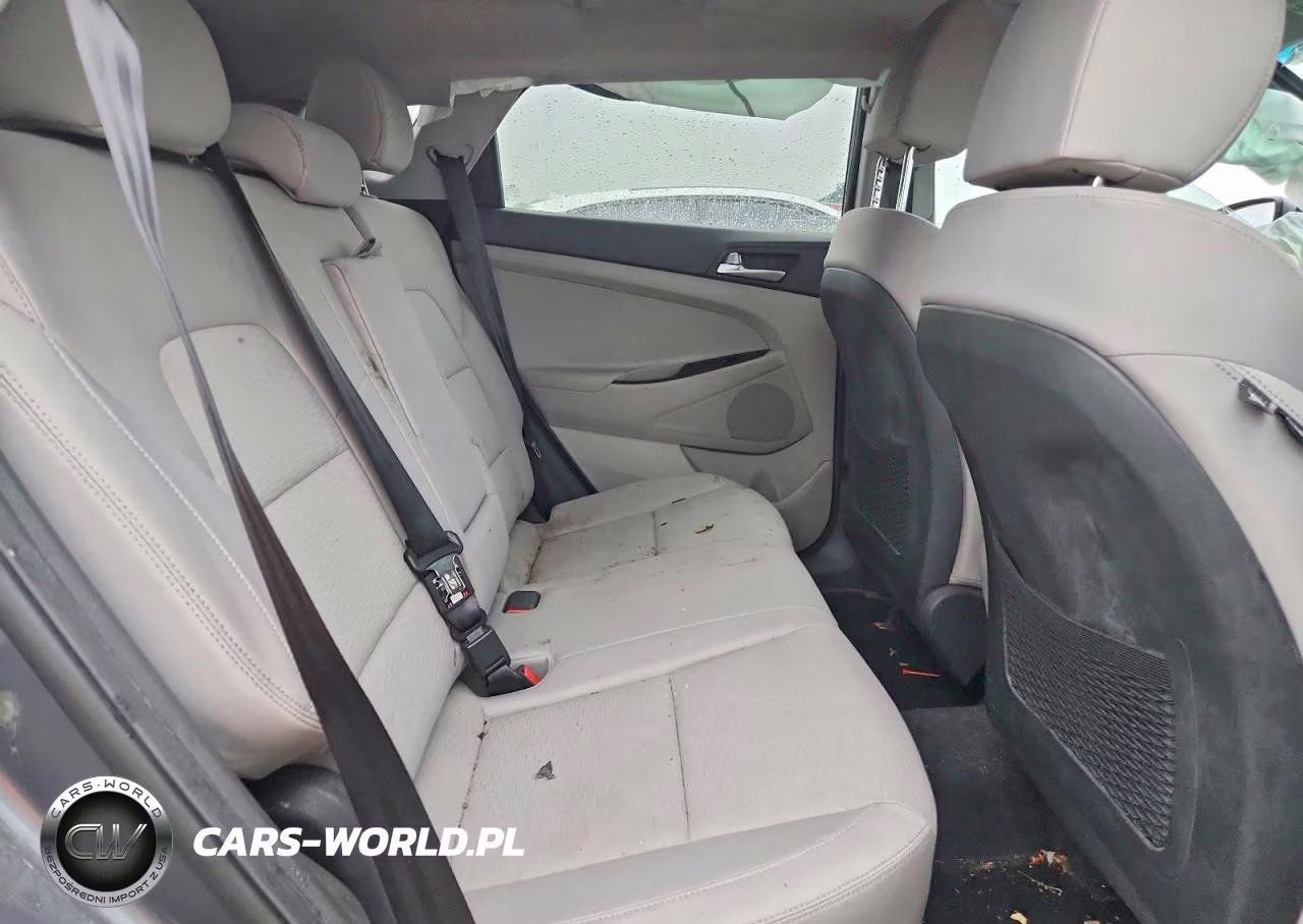 2019 Hyundai Tucson Value VIN:KM8J3CA45KU007371 - 10