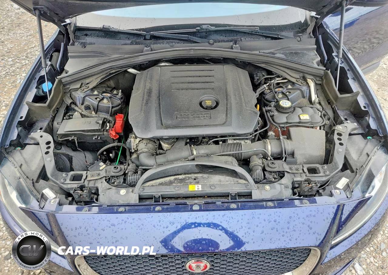 2018 Jaguar F-Pace Premium VIN:SADCJ2FN0JA254171 - 12