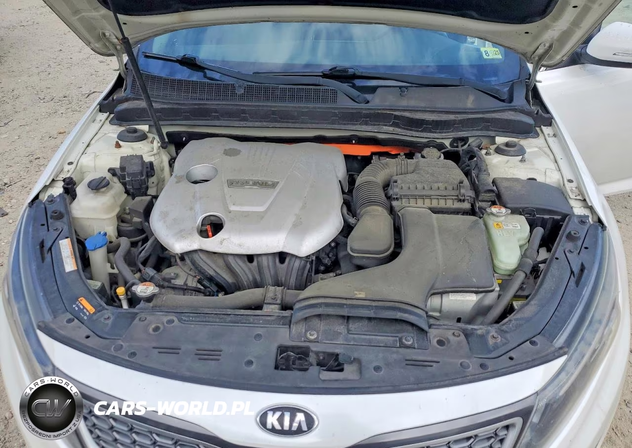 2014 Kia Optima Hybrid VIN:KNAGM4AD5E5064358 - 11