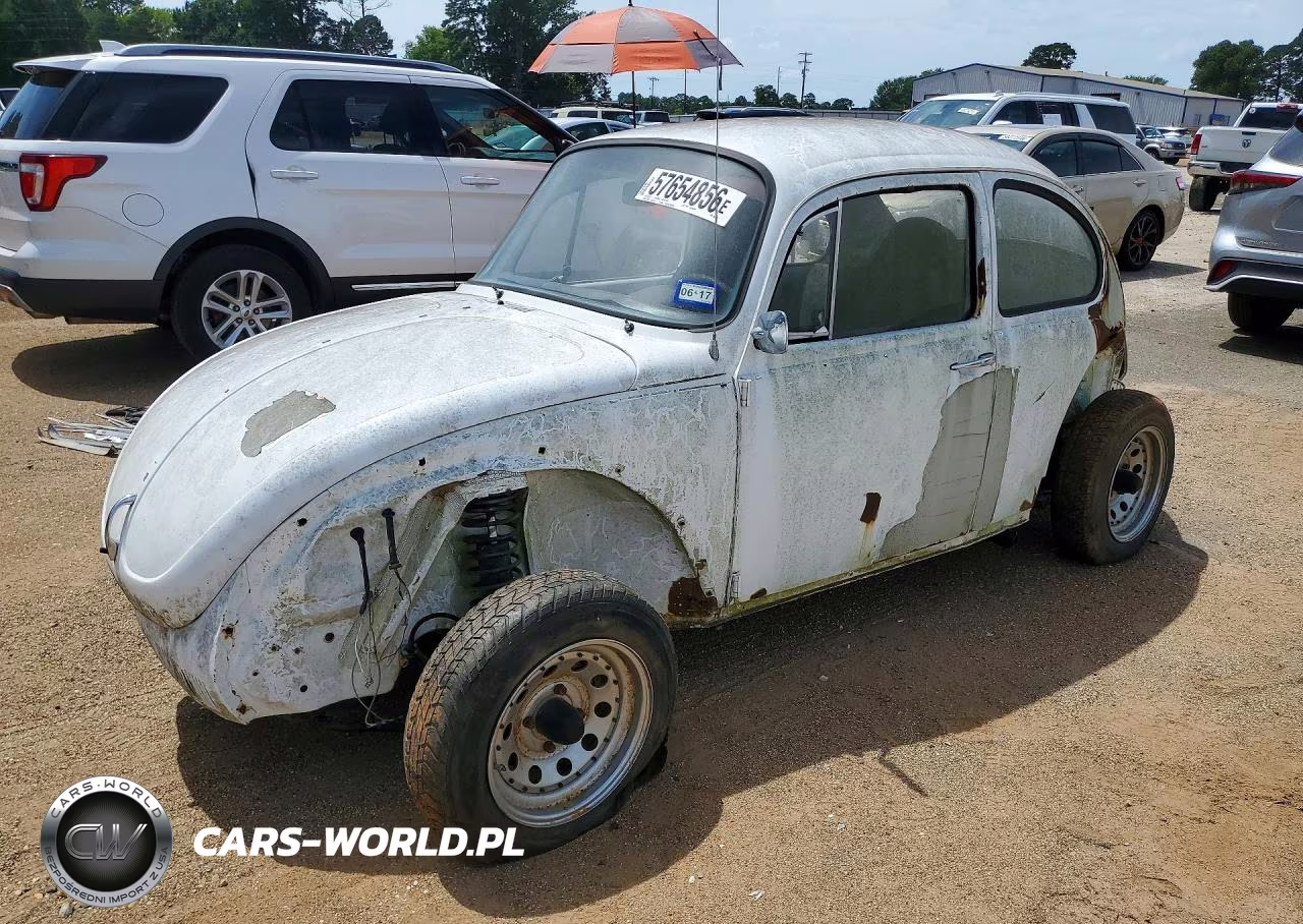 1973 Volks Beetle