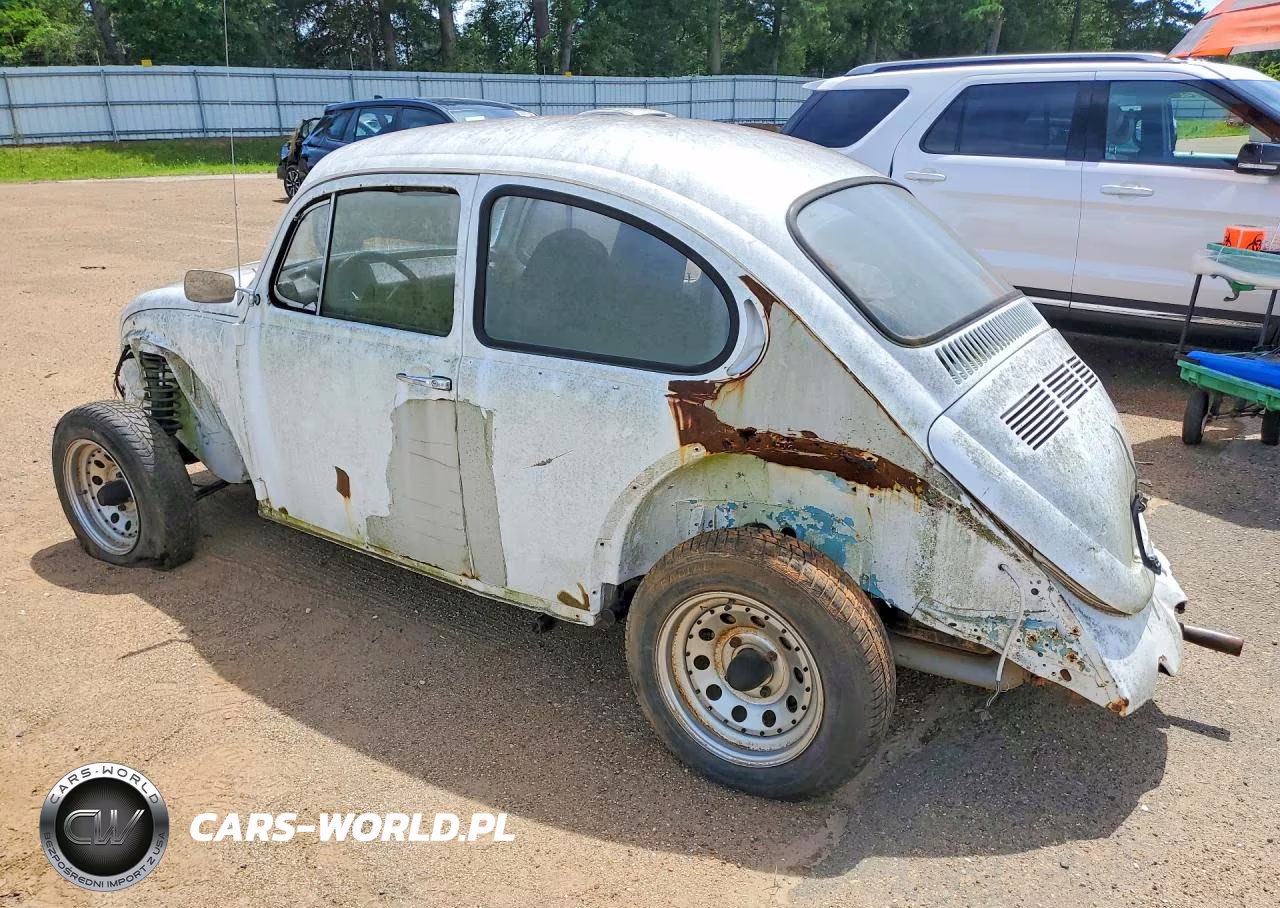 1973 Volks Beetle VIN:1332563135 - 2