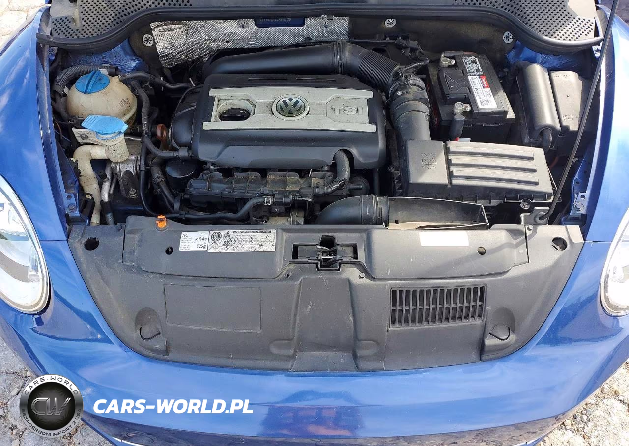 2013 Volkswagen Beetle Turbo VIN:3VWV67AT2DM616420 - 11