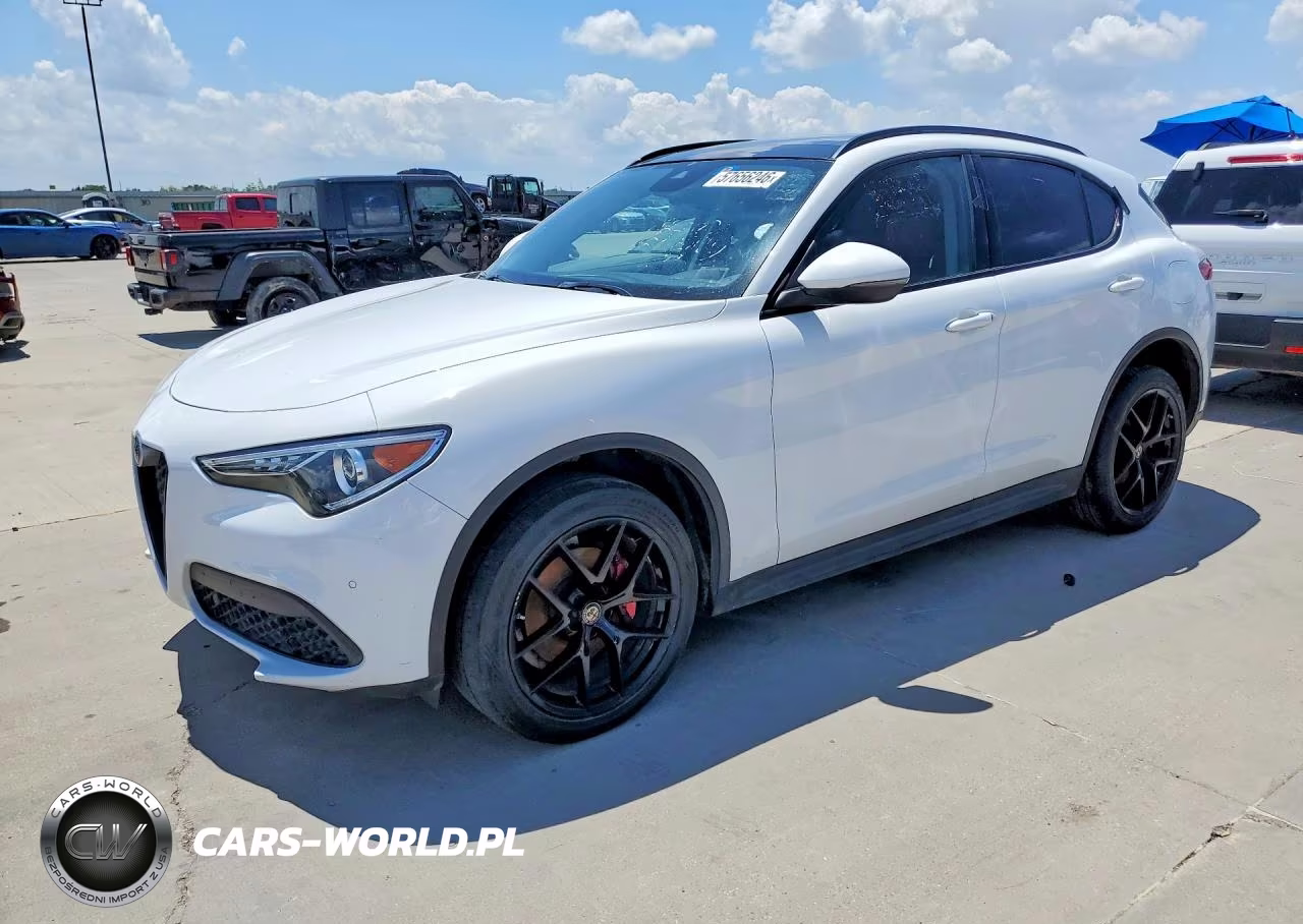 2019 Alfa Romeo Stelvio – zdjęcie 1 z 13