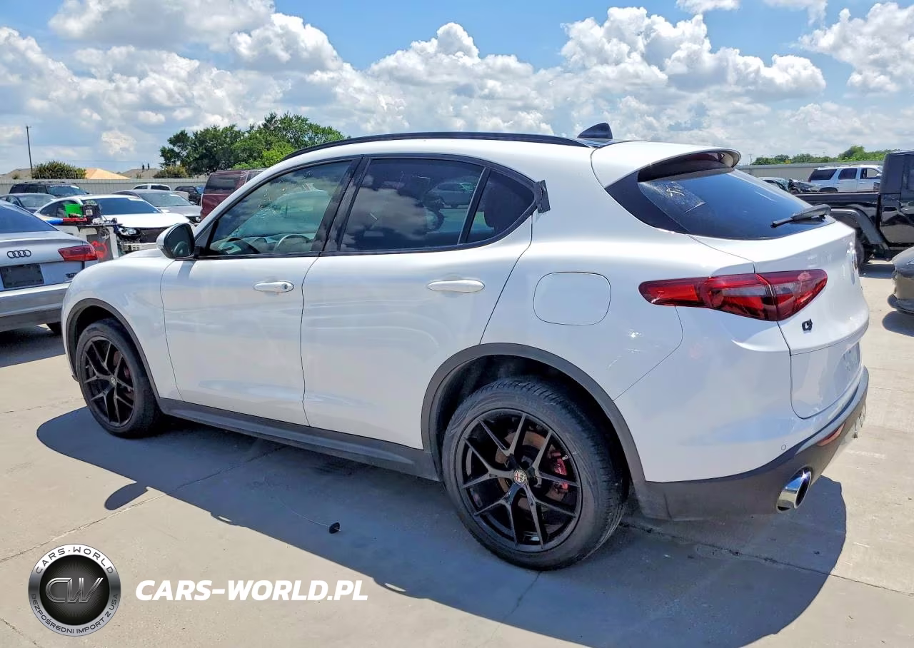 2019 Alfa Romeo Stelvio VIN:ZASPAKAN4K7C51350 - 2