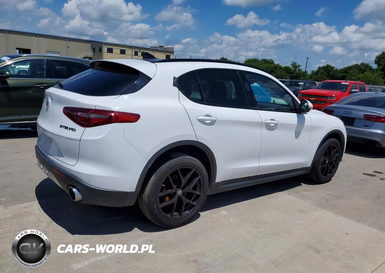 2019 Alfa Romeo Stelvio VIN:ZASPAKAN4K7C51350 - 3