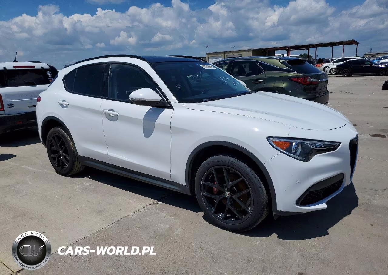 2019 Alfa Romeo Stelvio VIN:ZASPAKAN4K7C51350 - 4