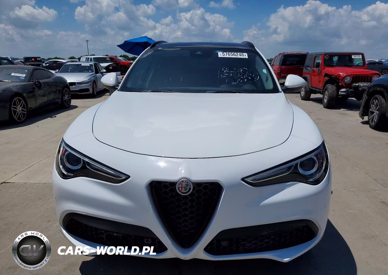 2019 Alfa Romeo Stelvio VIN:ZASPAKAN4K7C51350 - 5