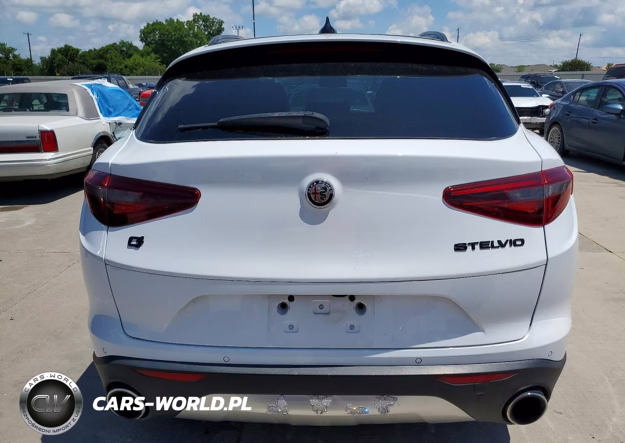 2019 Alfa Romeo Stelvio VIN:ZASPAKAN4K7C51350 - 6