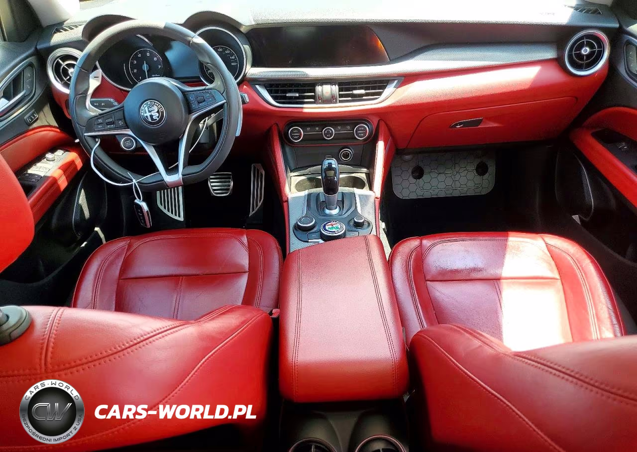 2019 Alfa Romeo Stelvio VIN:ZASPAKAN4K7C51350 - 8