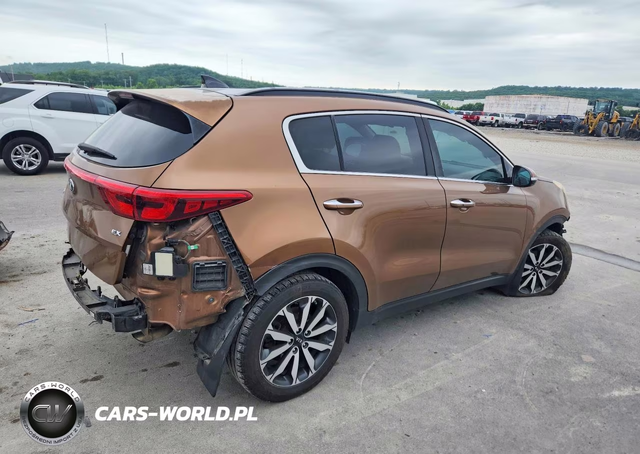 2019 Kia Sportage Ex VIN:KNDPN3AC4K7522389 - 3
