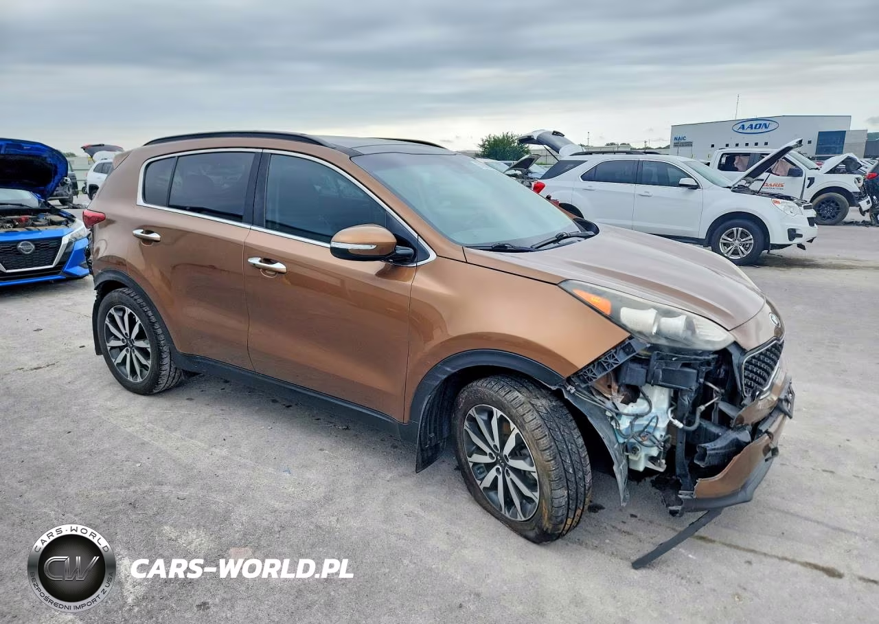 2019 Kia Sportage Ex VIN:KNDPN3AC4K7522389 - 4