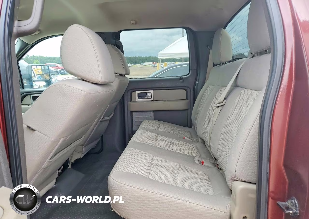 2010 Ford F150 Supercrew VIN:1FTFW1EV7AFB51449 - 10
