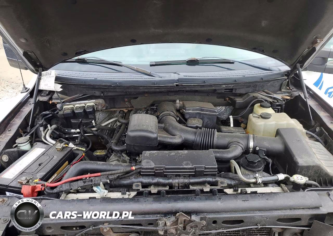 2010 Ford F150 Supercrew VIN:1FTFW1EV7AFB51449 - 11