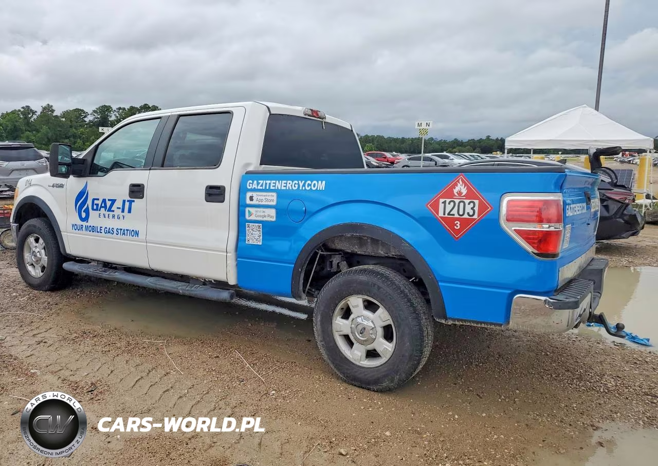 2010 Ford F150 Supercrew VIN:1FTFW1EV7AFB51449 - 2