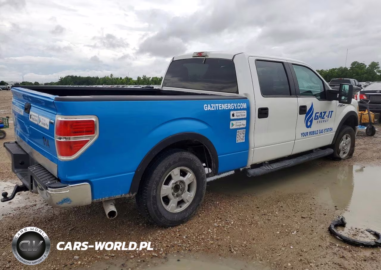 2010 Ford F150 Supercrew VIN:1FTFW1EV7AFB51449 - 3