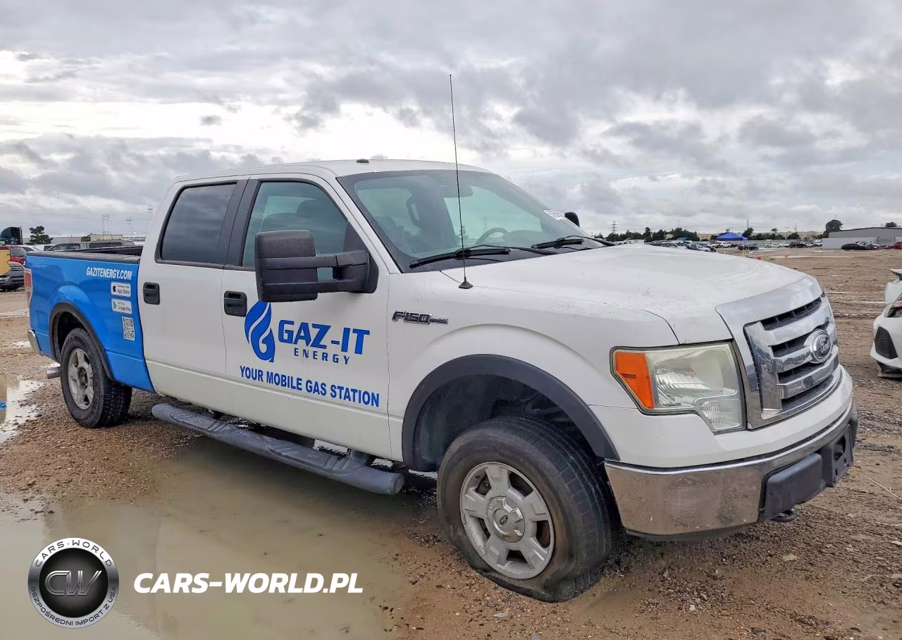 2010 Ford F150 Supercrew VIN:1FTFW1EV7AFB51449 - 4