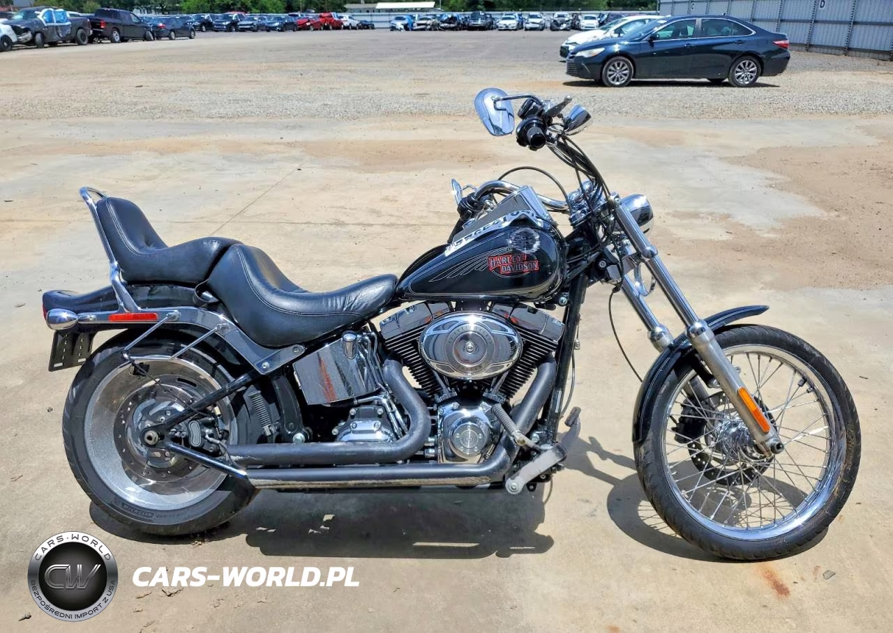 2009 Harley-Davidson Fxstc