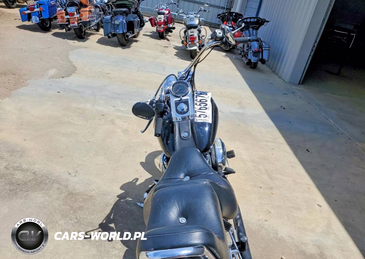 2009 Harley-Davidson Fxstc VIN:1HD1JL5129Y043708 - 6