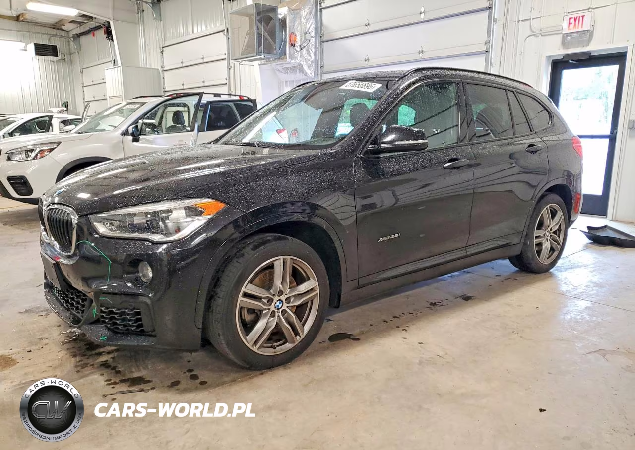 2017 BMW X1 xDrive28I – zdjęcie 1 z 13