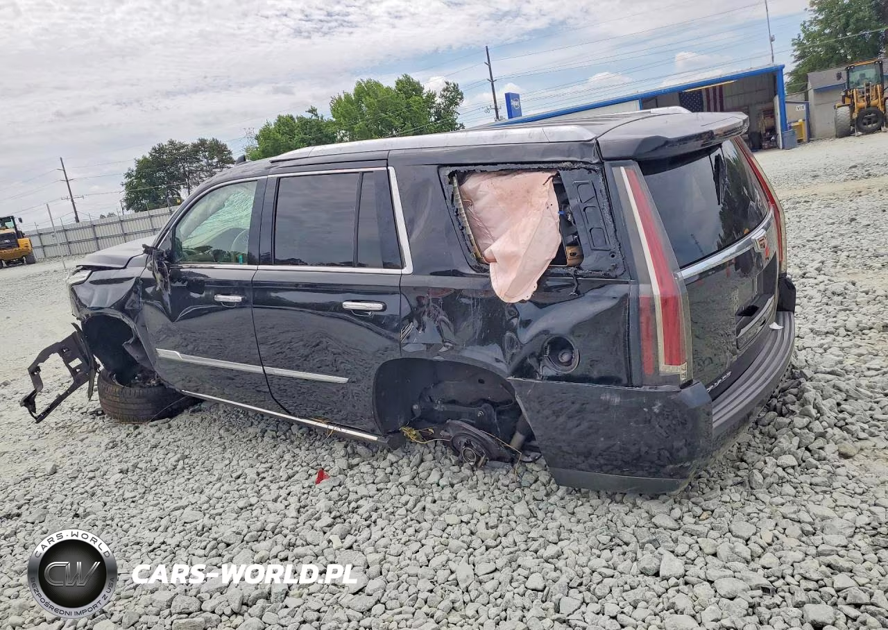 2019 Cadillac Escalade Platinum VIN:1GYS4DKJ9KR333901 - 2