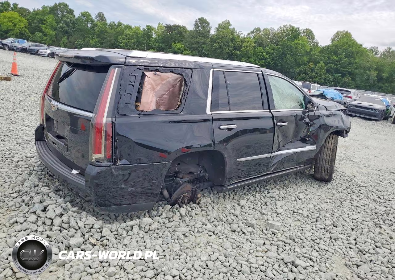 2019 Cadillac Escalade Platinum VIN:1GYS4DKJ9KR333901 - 3
