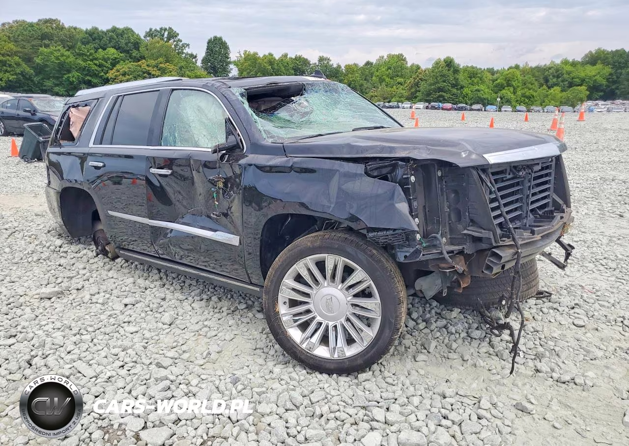 2019 Cadillac Escalade Platinum VIN:1GYS4DKJ9KR333901 - 4