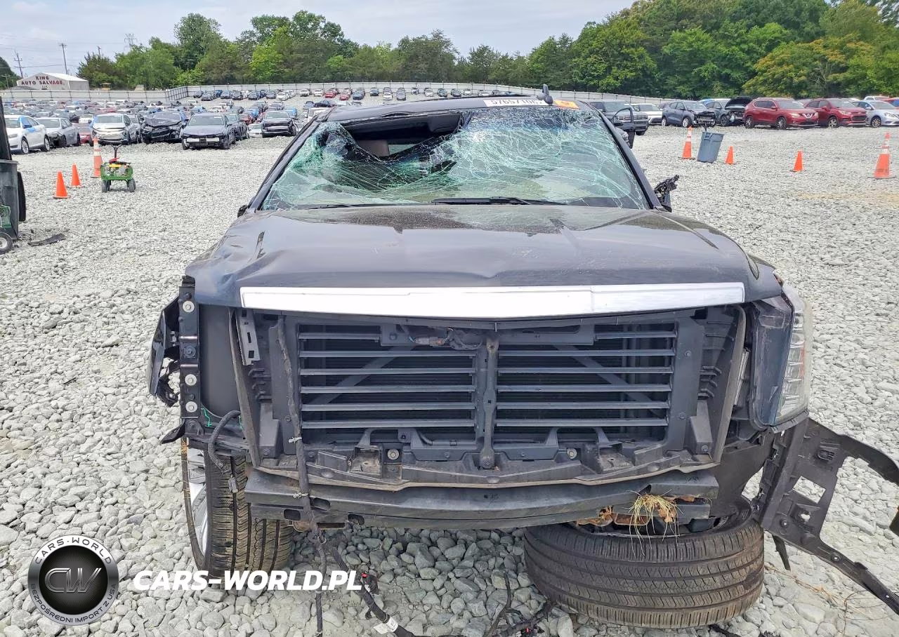 2019 Cadillac Escalade Platinum VIN:1GYS4DKJ9KR333901 - 5