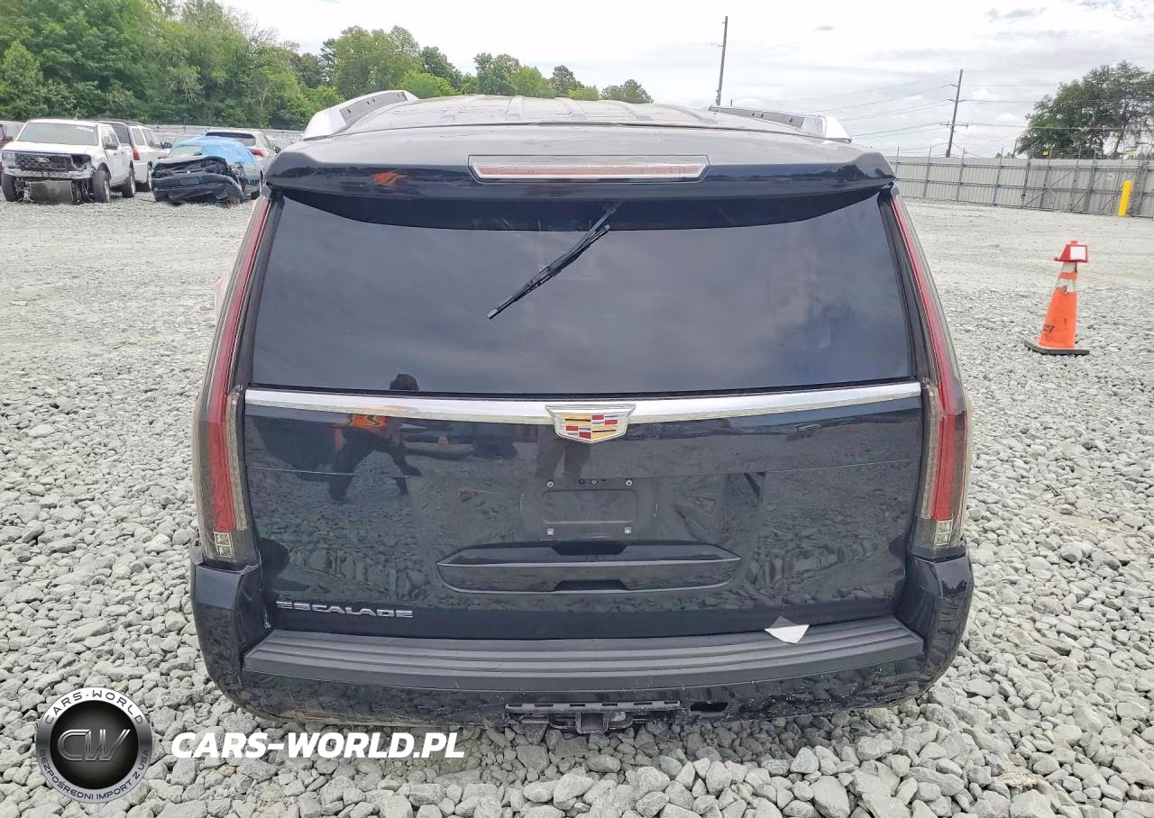 2019 Cadillac Escalade Platinum VIN:1GYS4DKJ9KR333901 - 6
