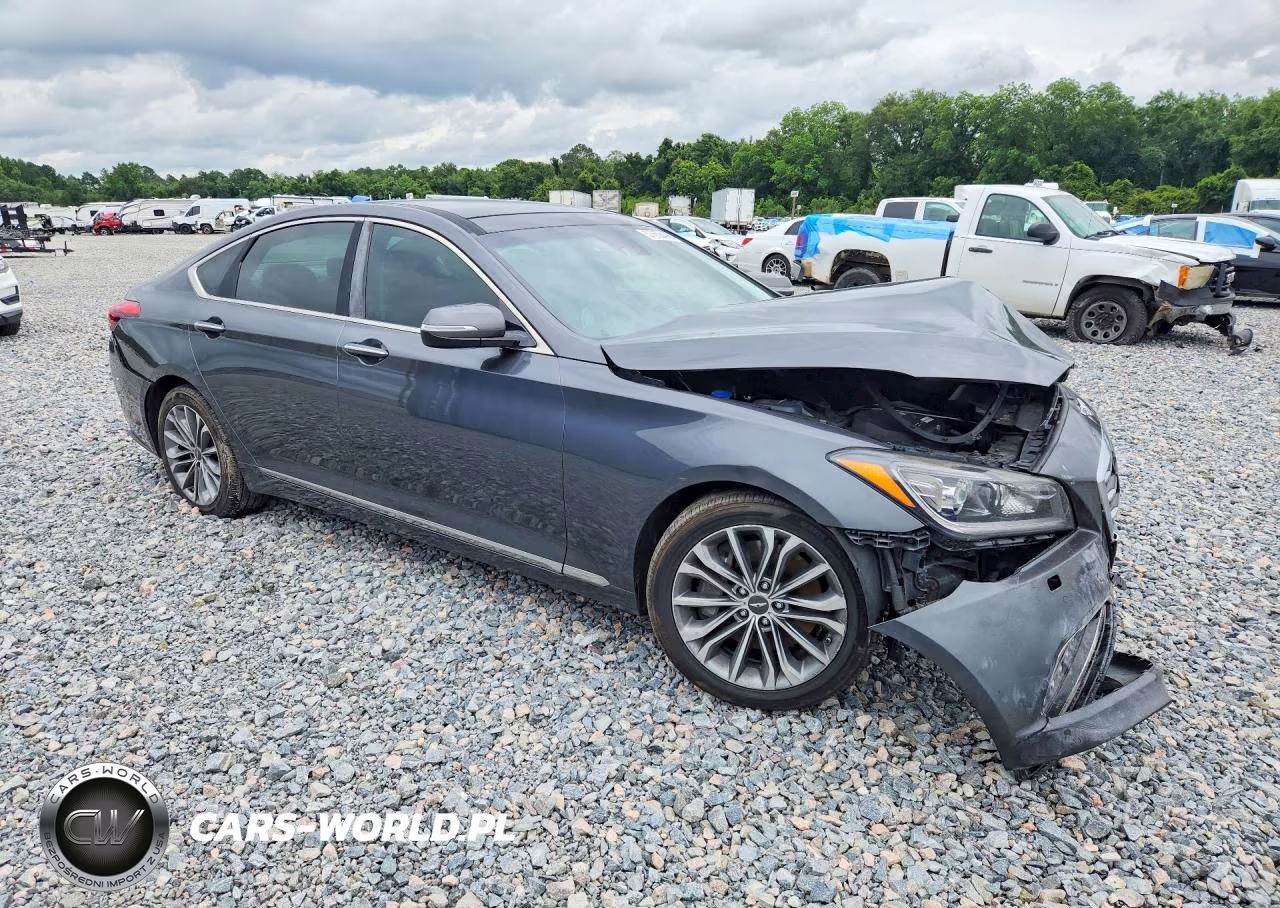 GENESIS G80 VIN:KMHGN4JE0HU203388 - 4