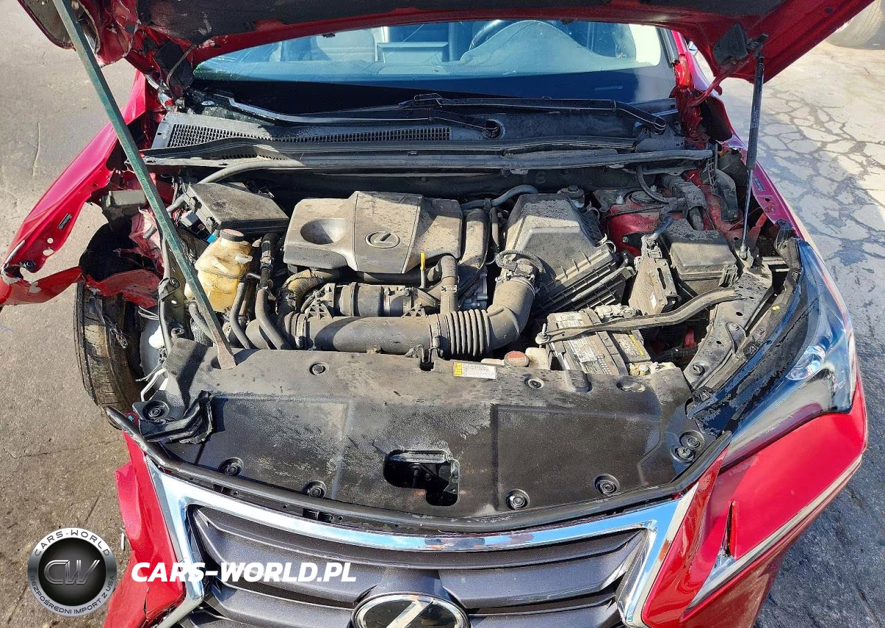2015 Lexus Nx 200T VIN:JTJYARBZ5F2020559 - 12